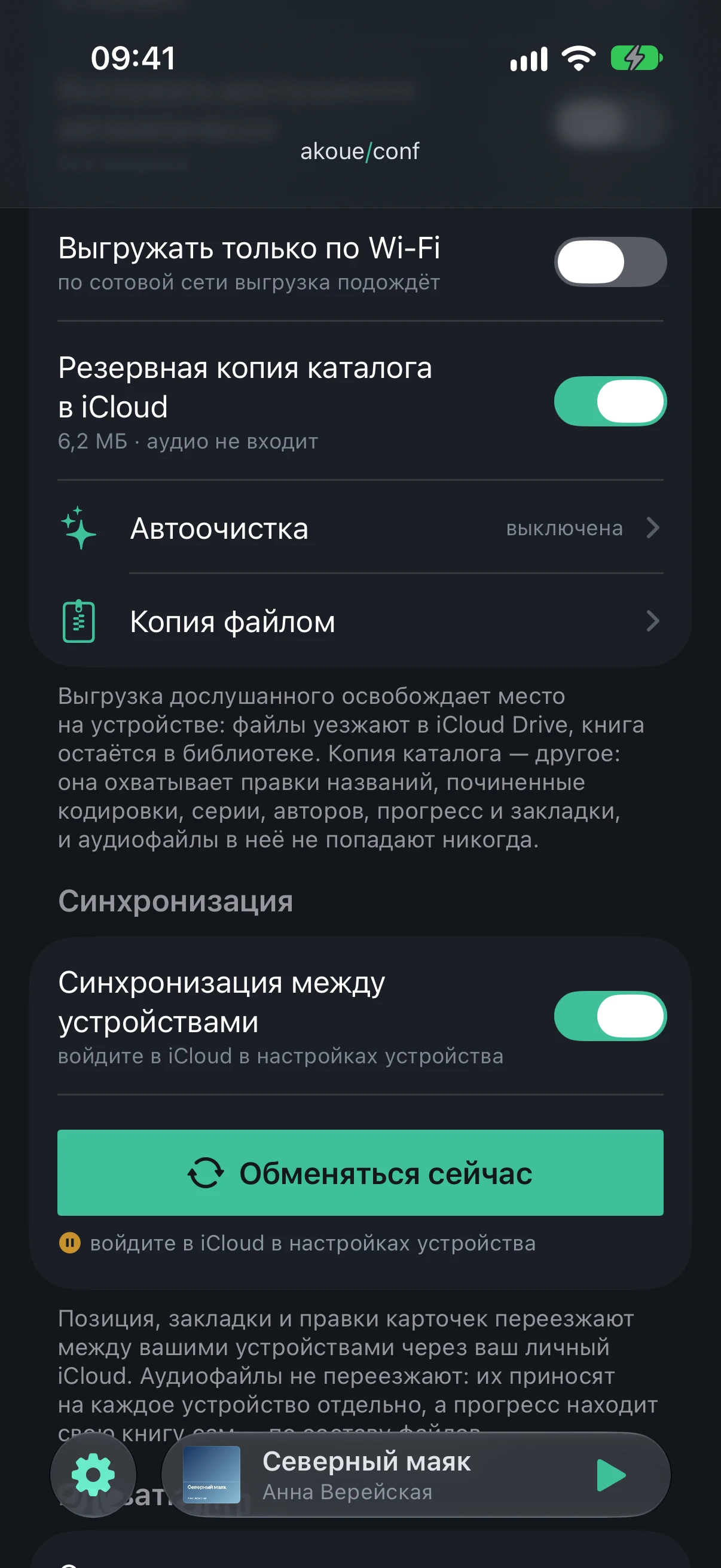 The “Sync” section with the switch on, the “Sync now” button and the explanation of what travels